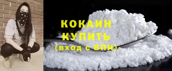 винт Рославль