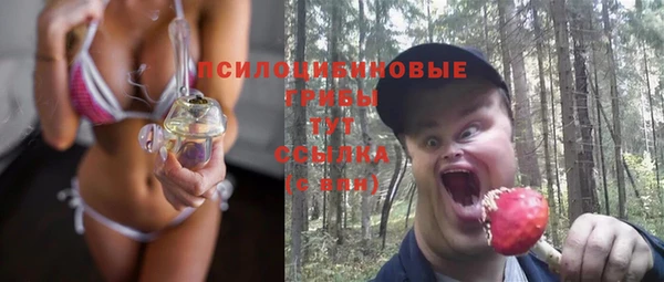 дживик Алзамай