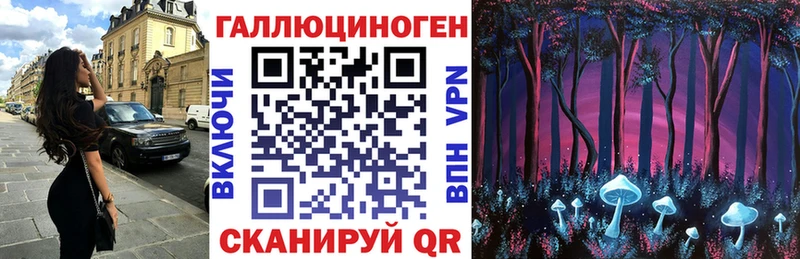 Галлюциногенные грибы Psilocybe  Джанкой 