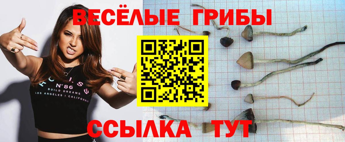 Псилоцибиновые грибы GOLDEN TEACHER Джанкой
